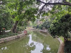 -荔湾湖公园