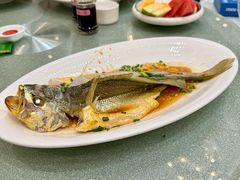 -舌尖上·霞浦滩涂海鲜·新闽菜(总店)