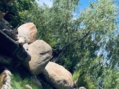 -汤泊温泉度假村