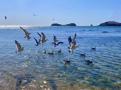 -银沙滩浴场