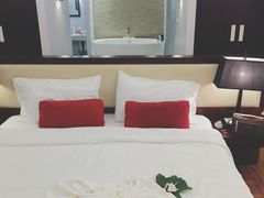 -椰树岛海滩度假村