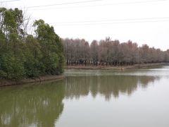 -上海海湾国家森林公园