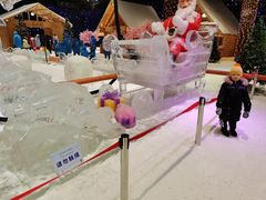 -宁波冰雪大世界(北仑区)