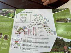 -野象谷景区