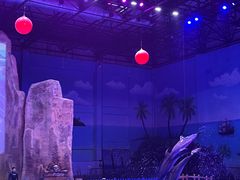 -华夏文旅海洋公园