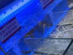 -名扬煮艺肥牛自助火锅(同和店)