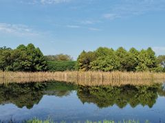 -贡湖湾湿地公园