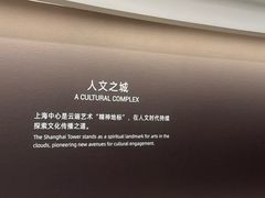 -上海中心大厦