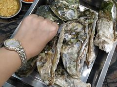 -蚝专家
