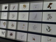 -李时珍纪念馆