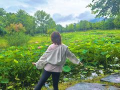 -杭州开元森泊度假乐园