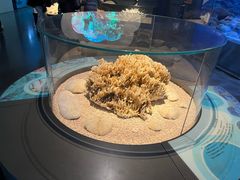 -天津自然博物馆