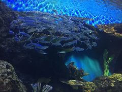 -华夏文旅海洋公园