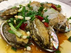-金海湾海鲜排档(朱家尖店)