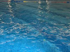 -斯博特游泳俱乐部(洲际酒店)