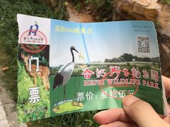 -合肥野生动物园