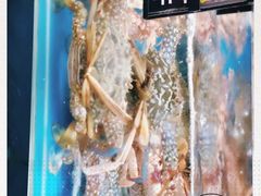 -张家卫·阳江菜·小海鲜(肥婆湾桥店)