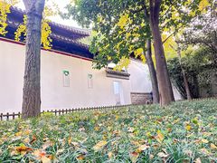 -西园戒幢律寺