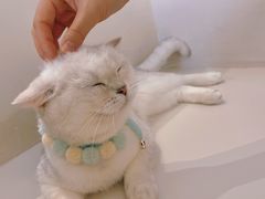 -怪兽屋·羊驼·猫咖·狗咖(俊华广场店)