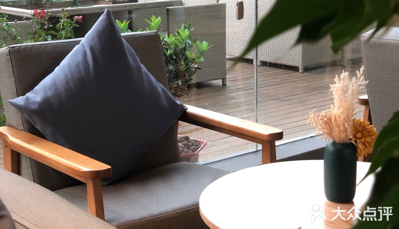 江门城中一隐世茶馆《若柑年后》欣赏日与月