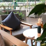 江门城中一隐世茶馆《若柑年后》欣赏日与月