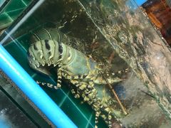 -拉威海鲜市场