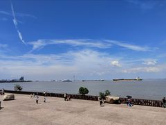 -上海滨江森林公园