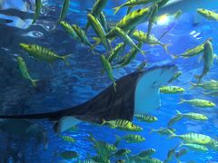 -太平洋海底世界