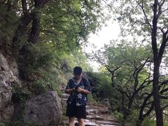 -阳台山自然风景区