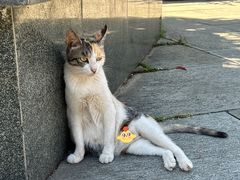 -宝通禅寺