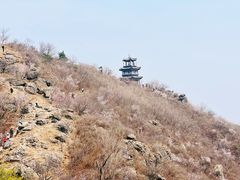 -北京鹫峰国家森林公园