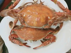 -双海酒店·海鲜家常菜(南戴河店)