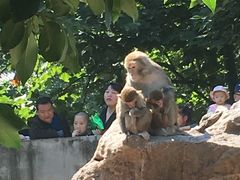 -李想大虾(牡丹路店)