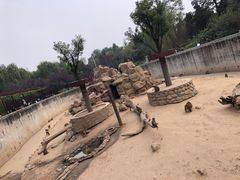 -西安秦岭野生动物园