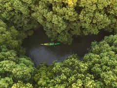 -动邦皮划艇·桨板·独木舟·团建户外运动俱乐部