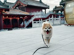 -开封府