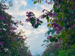 -水濂山森林公园