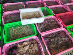 -众味海鲜大排档·活海鲜·潮汕味(南澳店)