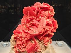 -湖南省地质博物馆