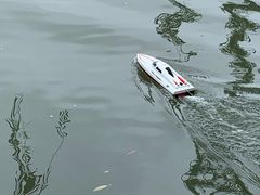 -海淀公园