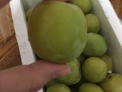 -呼吸森林·生态农庄农家乐私房菜