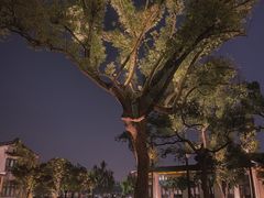 -杭州西湖柳莺里酒店·闻莺厅