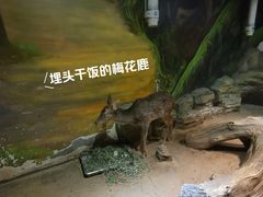 -绿色星球动物主题公园