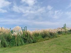 -西昌邛海湿地