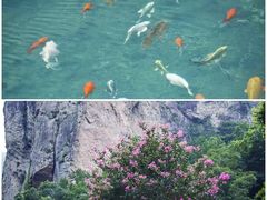 -雁荡山风景名胜区