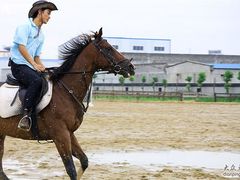 -松声马术俱乐部