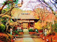 -常寂光寺