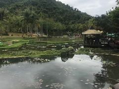 -呀诺达热带雨林