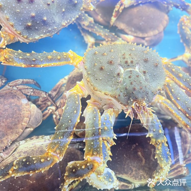 今天吃到了乌萨奇原型……