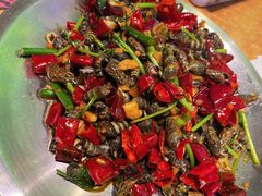 辣炒吸波螺-喝丢一只鞋海鲜烧烤·海肠捞饭(东关街店)